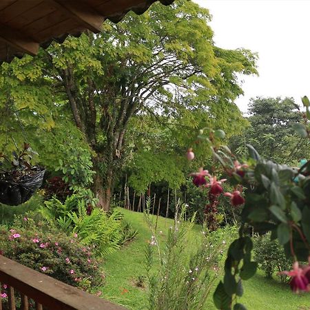 Finca Chalet La Tawa Sevilla  Luaran gambar