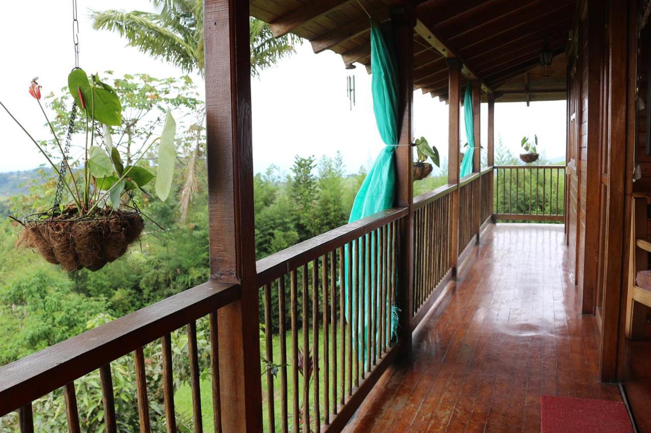 Finca Chalet La Tawa Sevilla  Luaran gambar