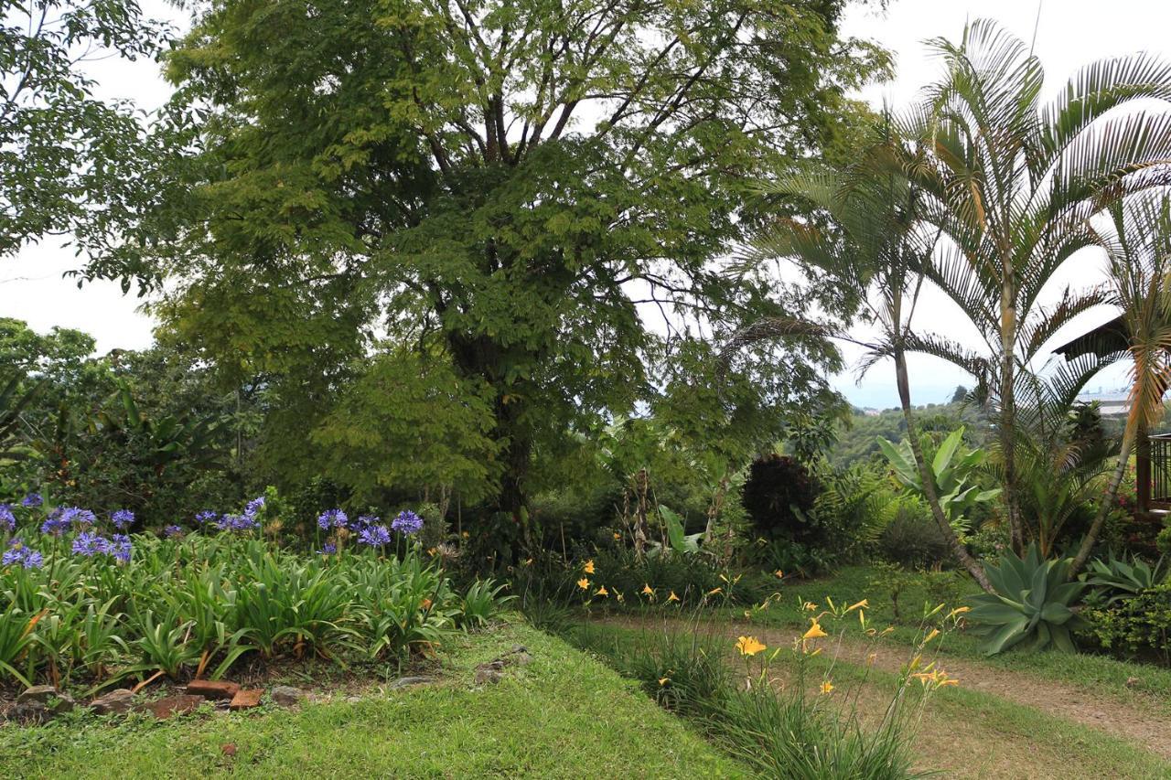 Finca Chalet La Tawa Sevilla  Luaran gambar